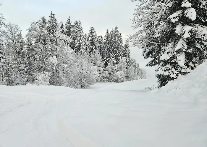 Alpen Studio Ellmau II