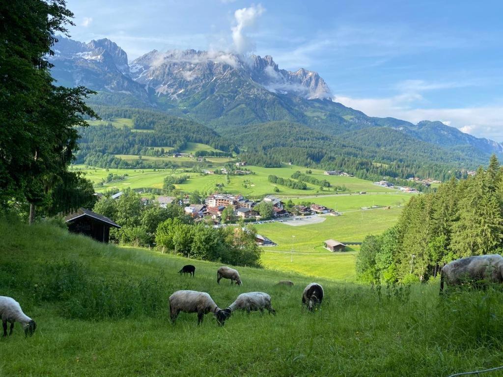 Apartment Alpen Ii Ellmau