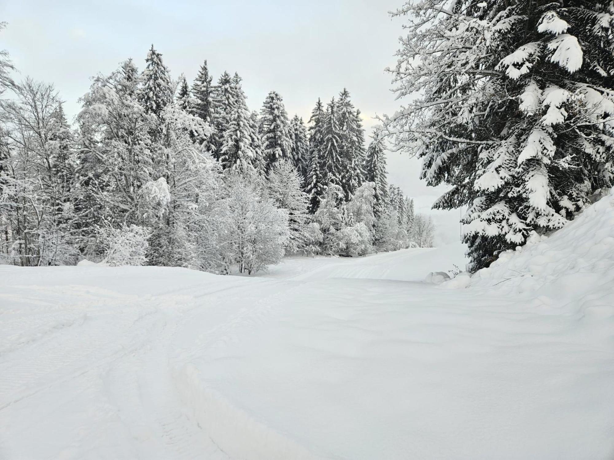 Apartment Alpen Ii *