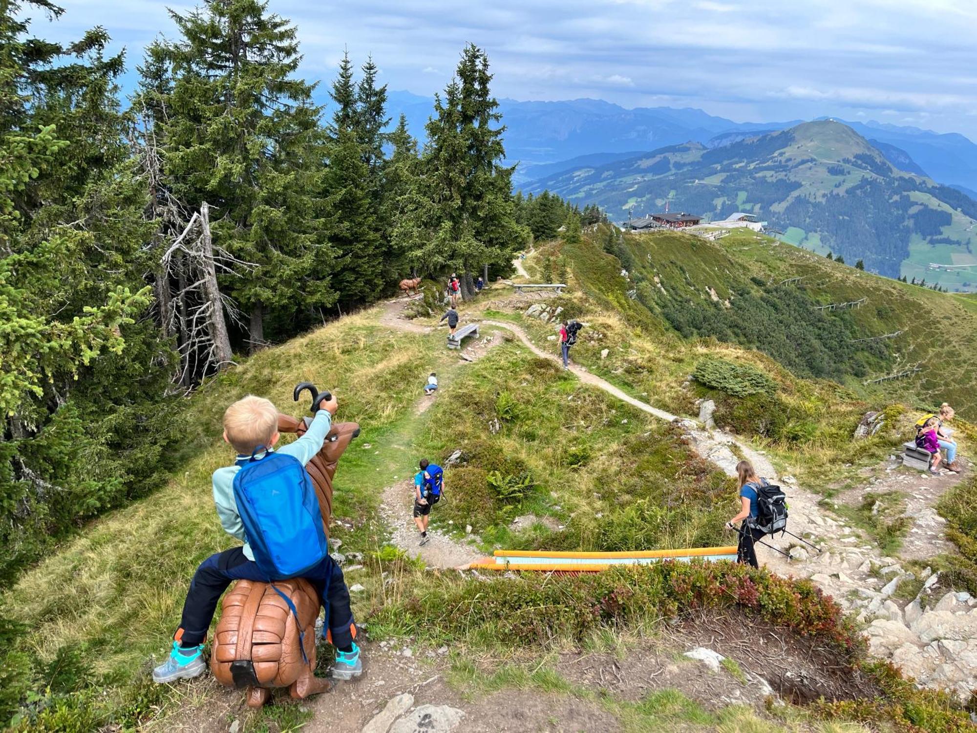 Alpen Ii Appartamento *